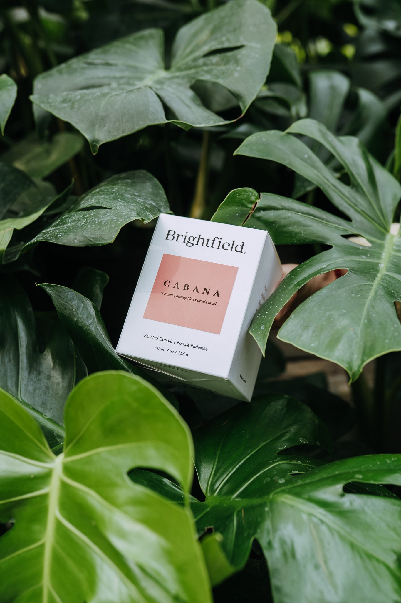 CABANA CANDLE