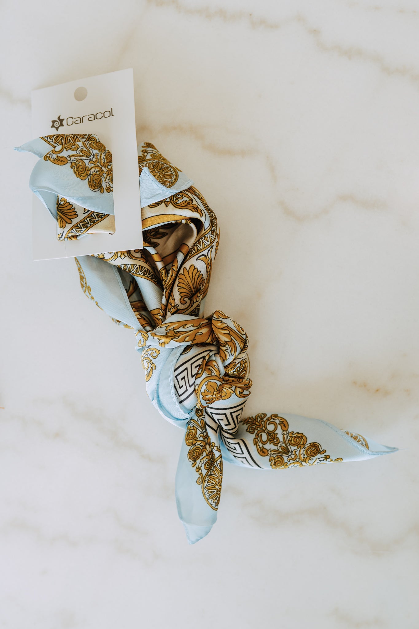 PAISLEY PRINT SCARF
